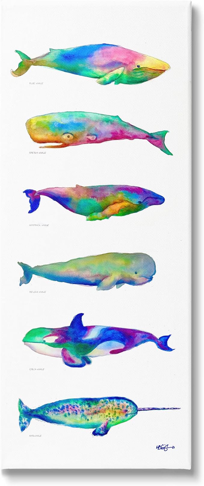 71E+MXeETWL._AC_SX679_