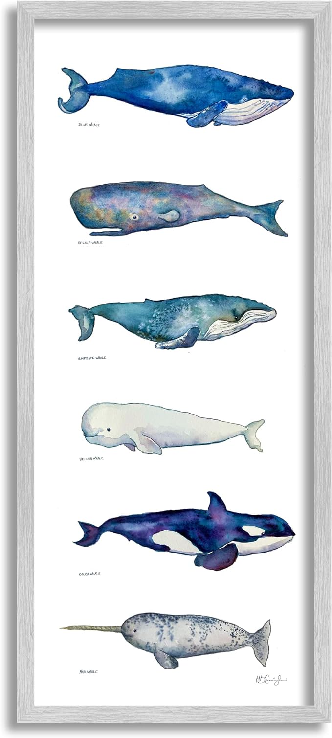 71WRazl+RJL._AC_SX679_