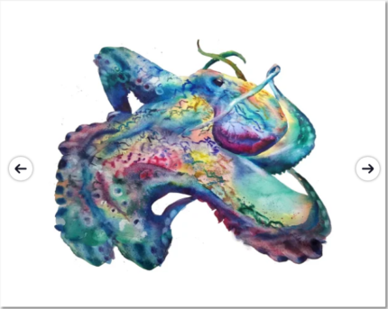 Octopus Art Watercolor Posters and Art Prints